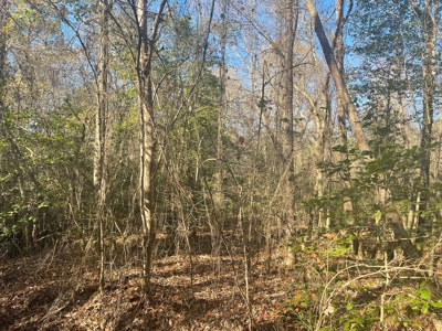 Hunting Property Grant County Arkansas - image 7