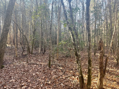 Hunting Property Grant County Arkansas - image 16