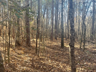 Hunting Property Grant County Arkansas - image 18
