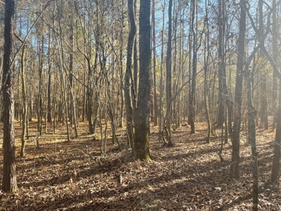 Hunting Property Grant County Arkansas - image 17