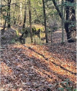 Hunting Property Grant County Arkansas - image 27