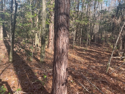 Hunting Property Grant County Arkansas - image 9