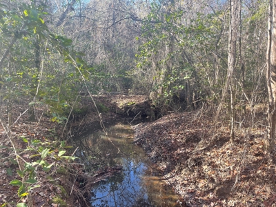 Hunting Property Grant County Arkansas - image 2