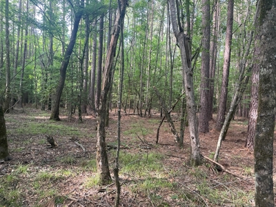 Hunting Property Grant County Arkansas - image 33