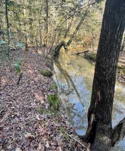 Hunting Property Grant County Arkansas - image 28