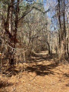 Hunting Property Grant County Arkansas - image 30