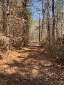 Hunting Property Grant County Arkansas - image 29