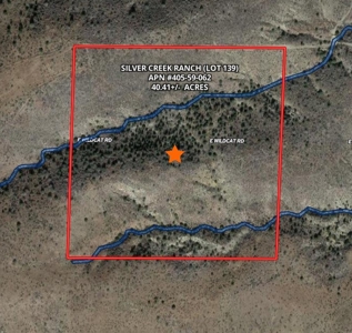 Online Auction, Silver Creek Ranch, Lot 139, 40.41 Acres - image 5