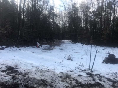113 Acres of woodland in 2 parcels for hunting or recreation - image 1