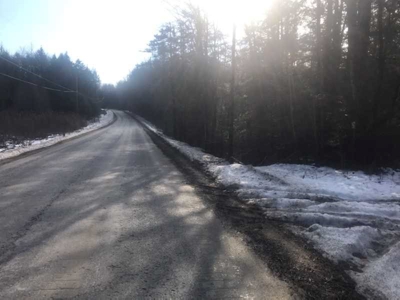 113 Acres of woodland in 2 parcels for hunting or recreation - image 4