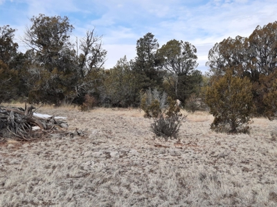 Beautiful Property - image 15