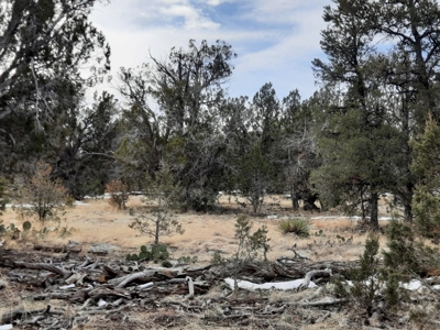 Beautiful Property - image 12