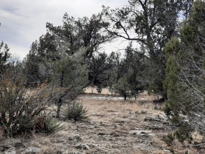 Beautiful Property - image 10