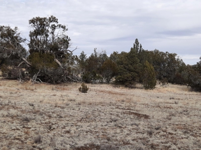 Beautiful Property - image 11
