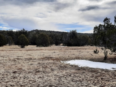 Beautiful Property - image 14