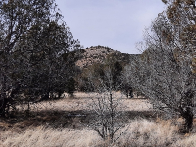 Very Secluded - image 1
