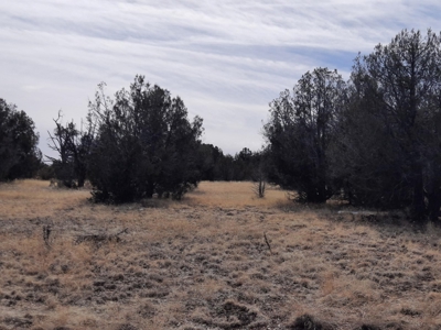 Very Secluded - image 12