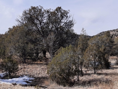 Very Secluded - image 4
