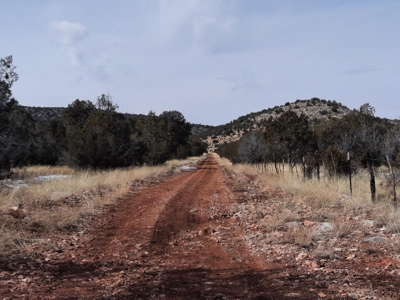 Very Secluded - image 11