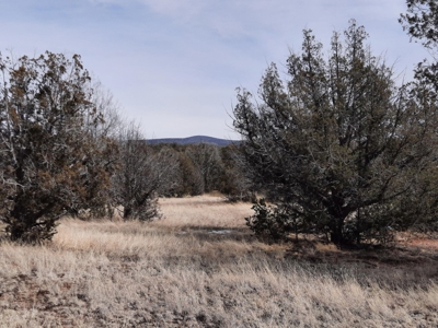 Very Secluded - image 8