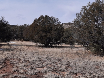 Very Secluded - image 6