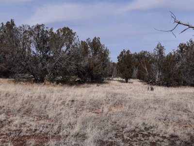 Very Secluded - image 7
