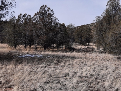 Very Secluded - image 9