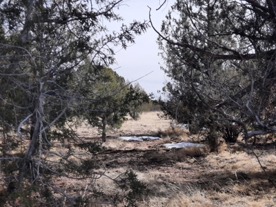 Very Secluded - image 3