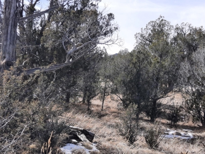 Very Secluded - image 2