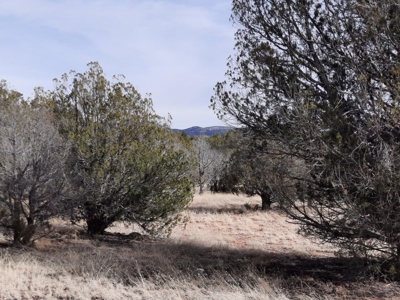 Very Secluded - image 10