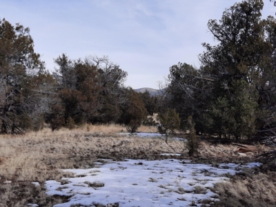 Very Secluded - image 5