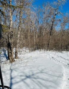 Riverfront Land Acreage For Sale Near Big Falls Northern MN - image 5