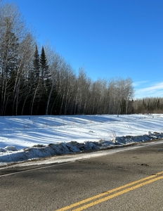 Riverfront Land Acreage For Sale Near Big Falls Northern MN - image 4