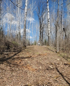 Riverfront Land Acreage For Sale Near Big Falls Northern MN - image 7