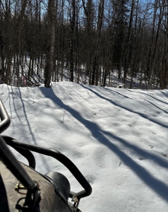 Riverfront Land Acreage For Sale Near Big Falls Northern MN - image 6