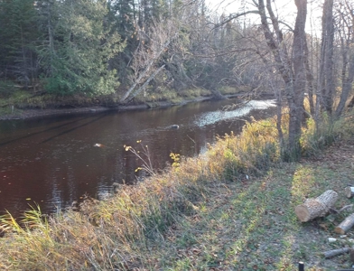 Riverfront Land Acreage For Sale Near Big Falls Northern MN - image 12