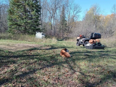 Riverfront Land Acreage For Sale Near Big Falls Northern MN - image 9