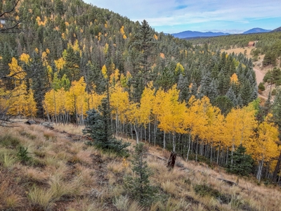 Secluded Colorado Property with Beautiful Mountain Views - image 3