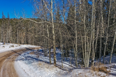Secluded Colorado Property with Beautiful Mountain Views - image 18