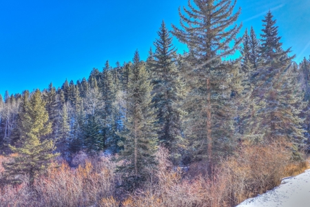 Secluded Colorado Property with Beautiful Mountain Views - image 16