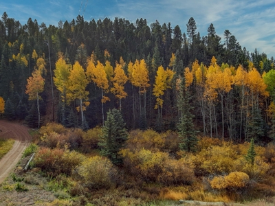 Secluded Colorado Property with Beautiful Mountain Views - image 9