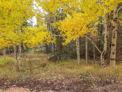 Secluded Colorado Property with Beautiful Mountain Views - image 4