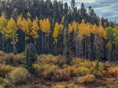 Secluded Colorado Property with Beautiful Mountain Views - image 8