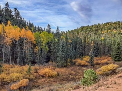 Secluded Colorado Property with Beautiful Mountain Views - image 5