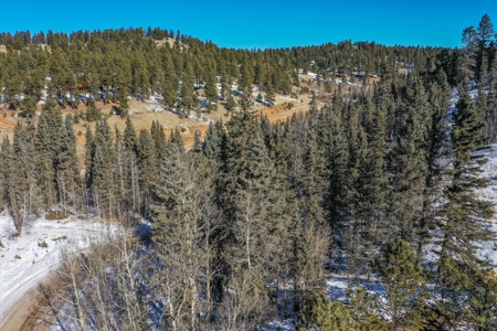 Secluded Colorado Property with Beautiful Mountain Views - image 20