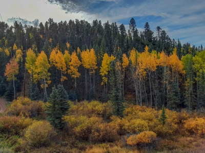 Secluded Colorado Property with Beautiful Mountain Views - image 7