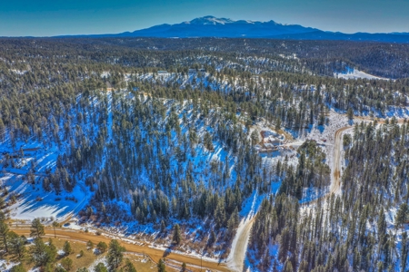 Secluded Colorado Property with Beautiful Mountain Views - image 1
