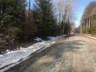 13 acre building lot on snow mobile trail. - image 1