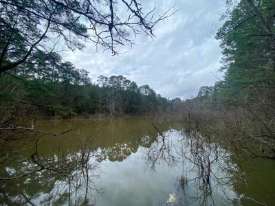 48 Acres Land for Sale with Timber and Pond Southwest MS - image 25