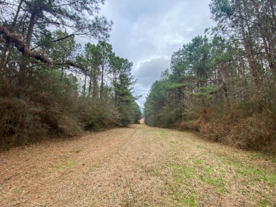48 Acres Land for Sale with Timber and Pond Southwest MS - image 11
